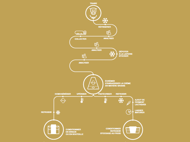 Guide d'utilisation d'un distributeur de crème fouettée pour les